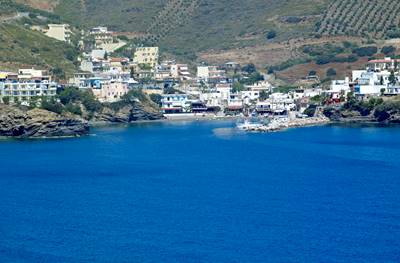The Traditional Port